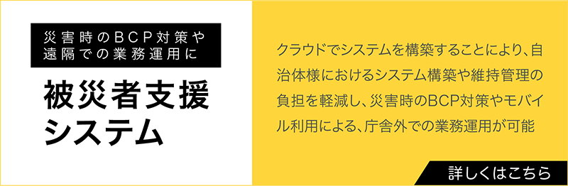 被災者支援システム