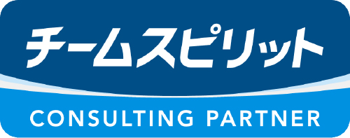 TeamSpirit partner