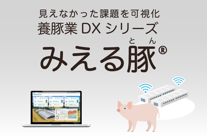 みえる豚