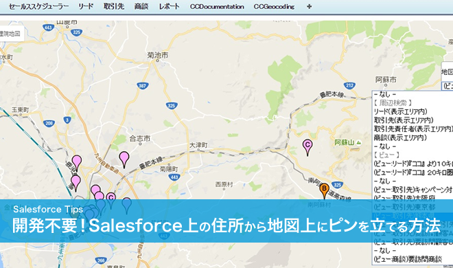 開発不要 Salesforceの住所情報から簡単に地図上にピンを立てる方法 フォレストキャンパス 株式会社システムフォレスト